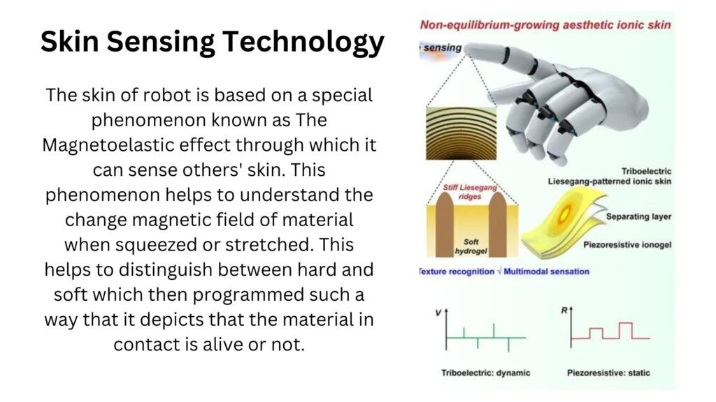 the revolutionary Touch Sense Robot.